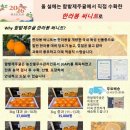 진자농장 이미지