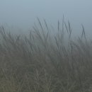 배배농장 이미지