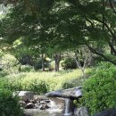 서부동공원 이미지