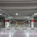 나성동_도시상징광장 | [세종] 나성동 도시상징광장 실시간 백일홍 현황