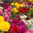 경기도 용인시농촌테마파크 놀이터 이미지