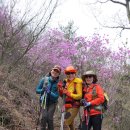 [1]영취산 510M [전남 여수시]예비군 훈련장~임도 삼거리]2016.4.5 이미지