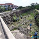 제주특별자치도개발공사(제2감귤공장) 이미지