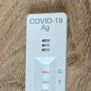 정진약국 이미지