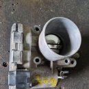 올뉴바디 이미지