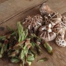 태양마을 이미지