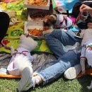 도그데이 이미지