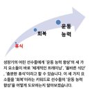 Team 에이스 이미지
