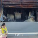 한국니토옵티칼 이미지