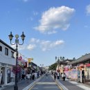 1988만두 | 1988년부터! APEC 경주 황리단길 맛집 대화만두 황리단점 솔직후기