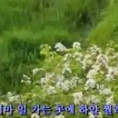 제50회정기연주회 이미지