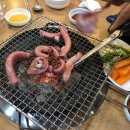 못말리는꼼장어
