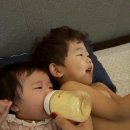 네일도마 | 12월 일상 기록 중 (아들 앞니 부러짐:(, 앤드그레인 도마 후기 ,남매 육아 기록중)