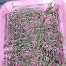 미석농장 이미지