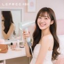 클로버헤어 이미지