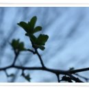 동변공원 이미지