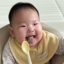 큐브데이