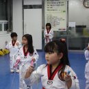 기백태권도체육관 이미지