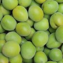 한솔한의원 이미지