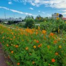 고덕수변공원 이미지