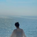 금자네펜션 | 태안 여행코스 파도리 해수욕장 해식동굴 물때시간과 주차 꿀팁