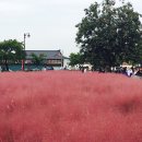 라즈베리펜션 이미지