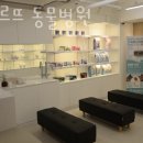 몽마르뜨 동물병원 이미지