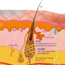 365하나로약국 이미지