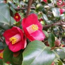 해든뷰 호스텔 이미지