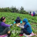 황부자농장 이미지