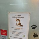 구씨네사진관 | 긴장 풀리고 자연스럽게 찍힌 하루, 서귀포 증명사진관 구씨네 사진관 후기📸