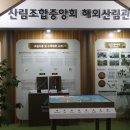 푸른미래컨설팅 이미지