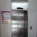 채영석한의원 Daum카페