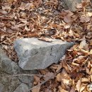 삼흥1리 마을회관 이미지