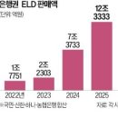 연 10%대 금리에 원금보장…시중은행, ELD 잇달아 출시 이미지