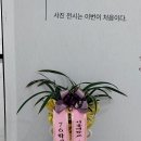 노작홍사용문학관 | 노작홍사용문학관 최두석 시인 시사진전 관람 후기