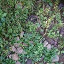 황영호농장 이미지