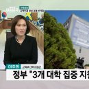 정주산업동물병원 네이버블로그
