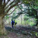 개천사 부도군 이미지