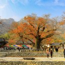 2025년11월5일(수) 자전거와친구들 가을 트레킹을 부안 변산반도로 떠납니다. 이미지