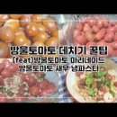 토마토쥬스만들기 토마토 요리 토마토주스 만들기 이미지