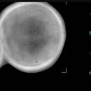 주식회사 토모 이미지