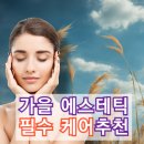 가을 에스테틱