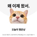 유촌슈퍼 | 메가커피 신메뉴 오늘의 행운냥애플머스캣 요거트 스무디 커피초코칩 젤라또 슈크림라떼 후기
