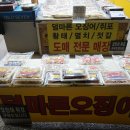 경포배오징어 이미지