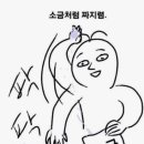 보보스스파랜드 이미지