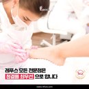 레푸스