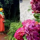 동광리-10 이미지