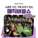어린이마술쇼 영암들소리키즈글램핑 후기! 야간 어린이공연, 성공적인 마술공연섭외 비결 (feat. 마술쇼)