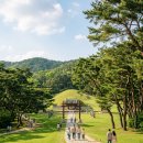 여주-0142 | 서울 근교 조선왕릉 나들이 코스 추천 산책하기 좋은 왕릉 5곳 정보